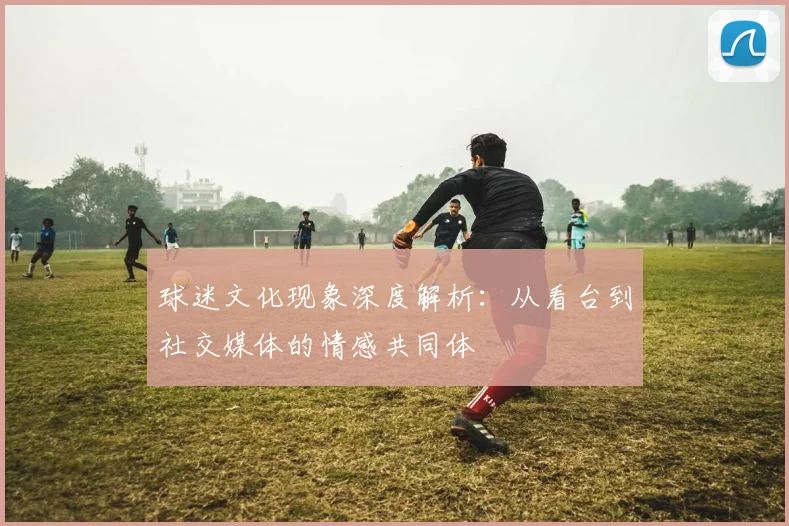 球迷文化现象深度解析：从看台到社交媒体的情感共同体